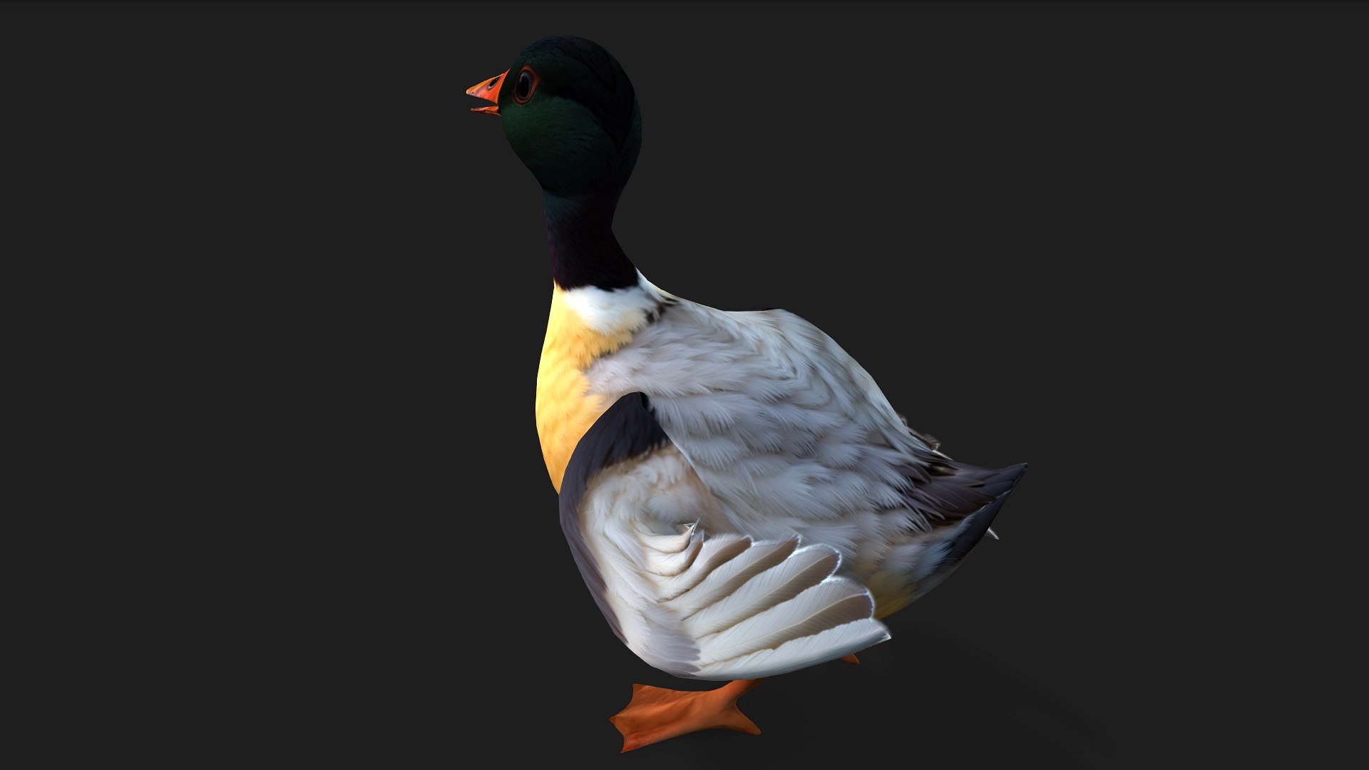 Duck-A7 3D model https://p.turbosquid.com/ts-thumb/0j/GPsKEr/WQ/preview4/jpg/1751861787/1920x1080/fit_q87/7b05886969b19479dd611fd38a155cde5c1d5410/preview4.jpg