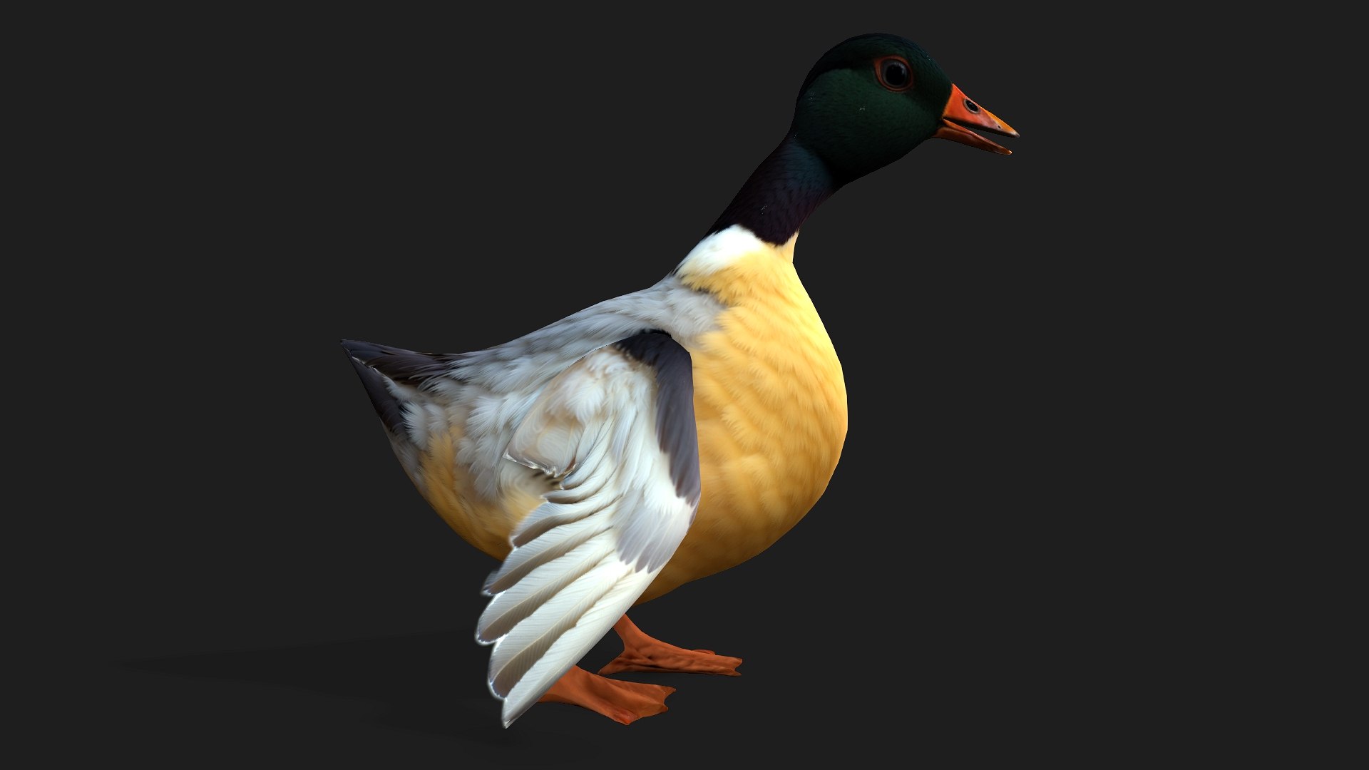 Duck-A7 3D model https://p.turbosquid.com/ts-thumb/0j/GPsKEr/xT/preview1/jpg/1751861784/1920x1080/fit_q87/3b935683ed3efe5b888014d787ff25bdeba1401b/preview1.jpg