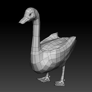 3D duck