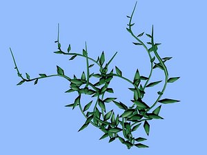 sea grass xml 3d c4d
