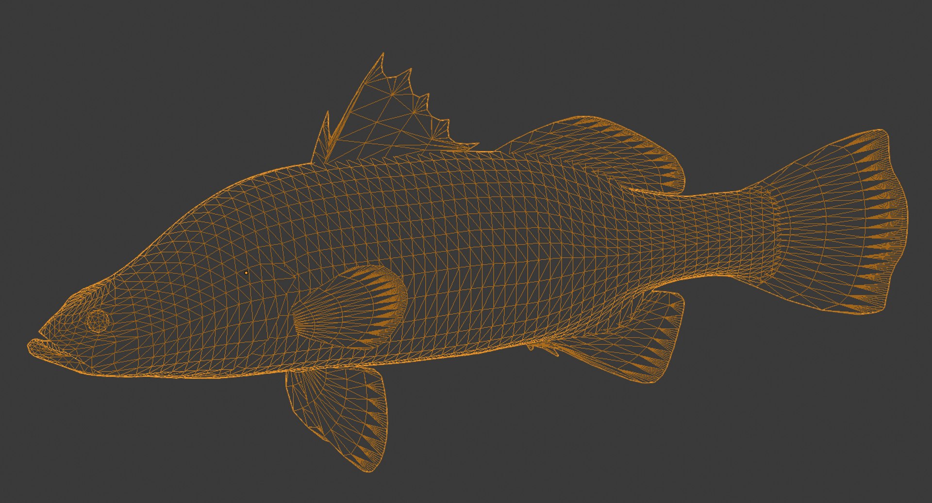 barramundi swimming 3d model https://p.turbosquid.com/ts-thumb/0j/l0tuqI/BYA3jplb/barramundiwire/png/1566716900/1920x1080/fit_q87/30ddee290f84e4d6f2912afe72438af7075e52b7/barramundiwire.jpg