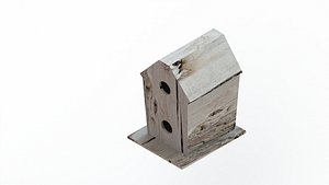 Bird Nest 3