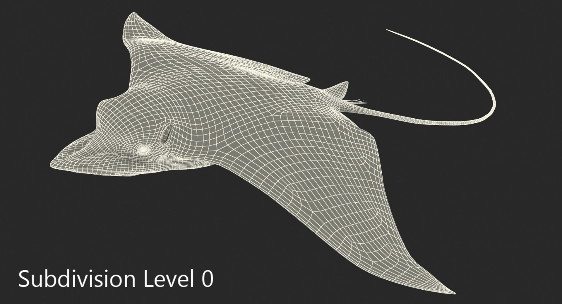 eagle rigged max https://p.turbosquid.com/ts-thumb/0k/B6LZHF/DVNsrxq0/eaglerayrigged3dsmaxvray3dmodel14/jpg/1473073575/1920x1080/fit_q87/d1b131d36b4387fc8d9e5943bed10e5291736a6f/eaglerayrigged3dsmaxvray3dmodel14.jpg