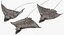 Eagle Ray Rigged