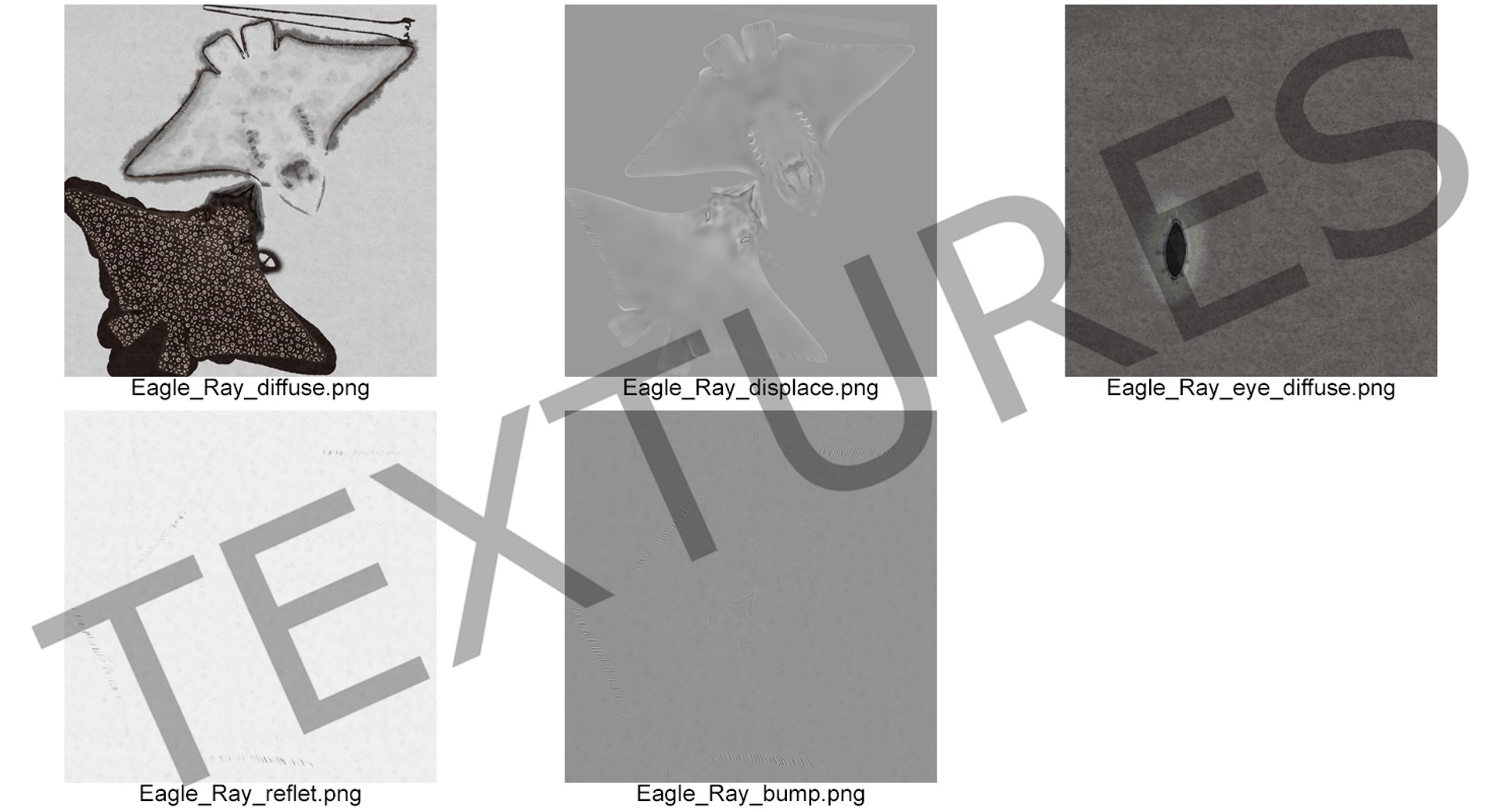 eagle rigged max https://p.turbosquid.com/ts-thumb/0k/B6LZHF/XO3APDT4/eaglerayrigged3dsmaxvray3dmodel17/jpg/1473073575/1920x1080/fit_q87/6ee57b8662b7337ae37386aa070428a68829dd47/eaglerayrigged3dsmaxvray3dmodel17.jpg