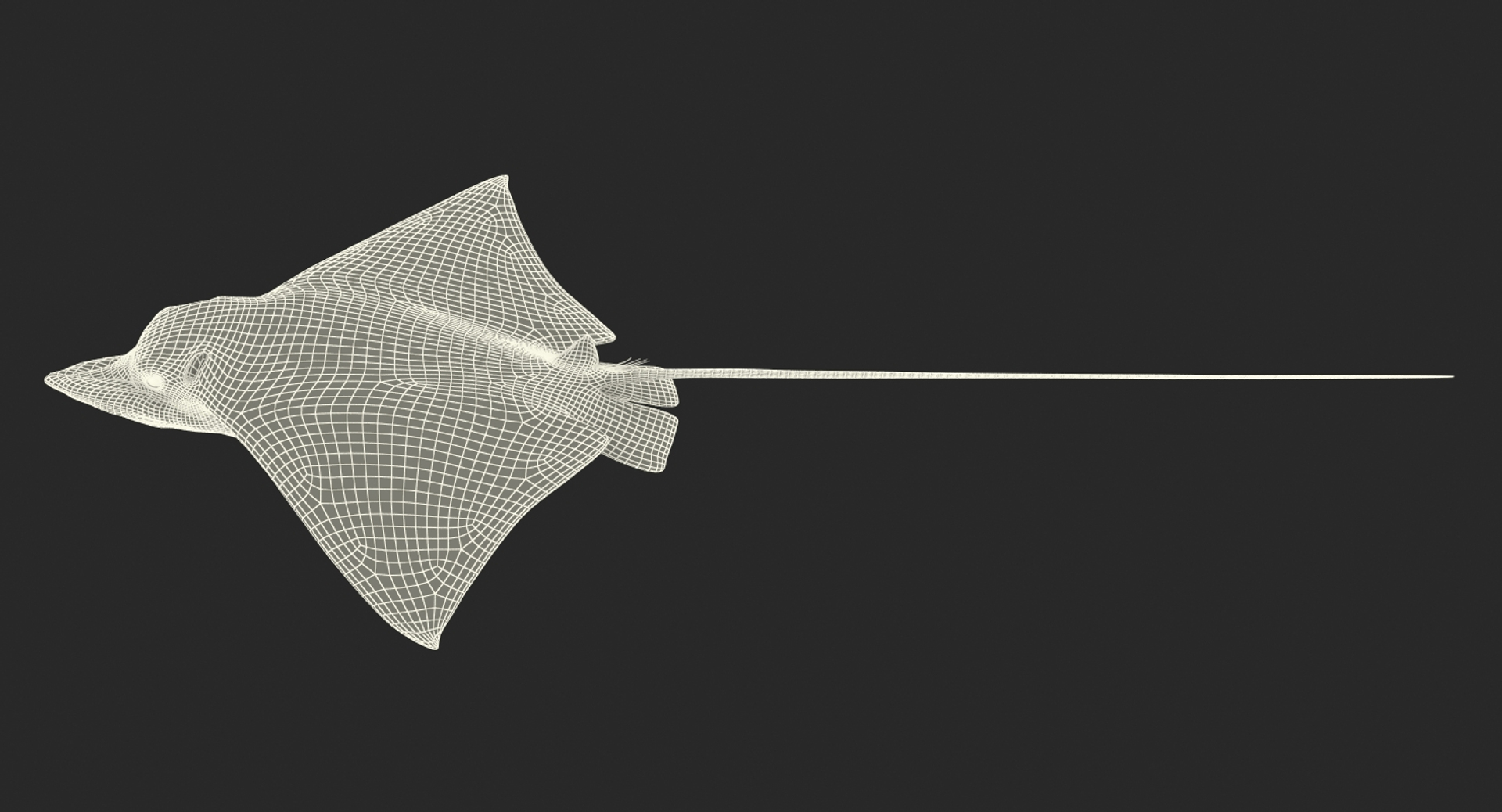 eagle rigged max https://p.turbosquid.com/ts-thumb/0k/B6LZHF/baetR6xH/eagle_ray_rigged_361/jpg/1473073768/1920x1080/turn_fit_q99/0eb8ef505d40039dc9c01cd4402f046ca7085080/eagle_ray_rigged_361-1.jpg