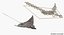 Eagle Ray Rigged