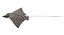 Eagle Ray Rigged