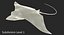 Eagle Ray Rigged