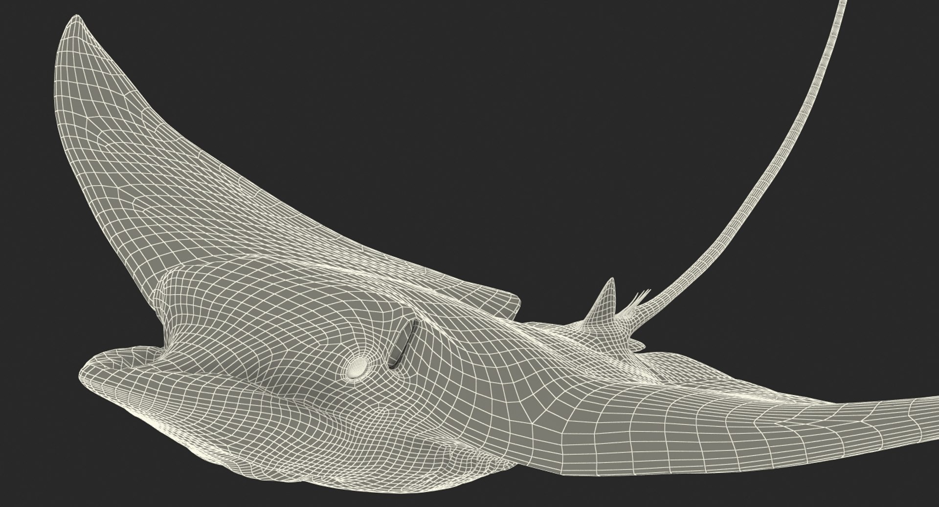 eagle rigged max https://p.turbosquid.com/ts-thumb/0k/B6LZHF/m3IsWB7t/eaglerayrigged3dsmaxvray3dmodel21/jpg/1473073575/1920x1080/fit_q87/26209f9fe1dd44f1be6b5dd6e5073c3a25de49cb/eaglerayrigged3dsmaxvray3dmodel21.jpg