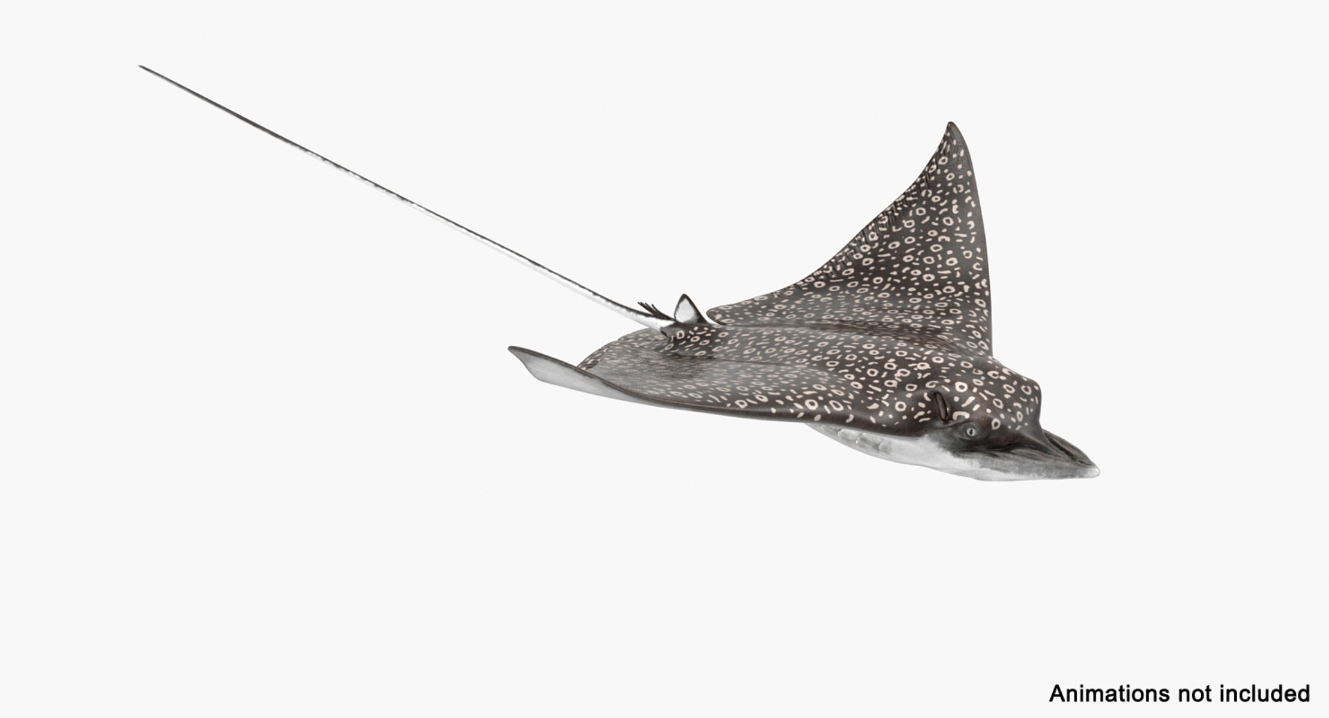 eagle rigged max https://p.turbosquid.com/ts-thumb/0k/B6LZHF/qijaYEKI/eagle_ray_rigged_362/jpg/1473073973/1920x1080/turn_fit_q99/2f45b3b7377b40943b8a426967487413fe71f1d5/eagle_ray_rigged_362-1.jpg
