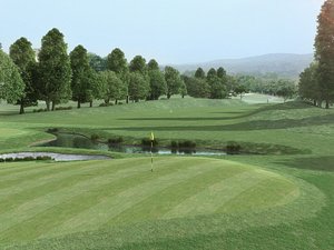 photorealistic proxy grass ground 3d model