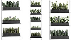 3D model vertical gardening