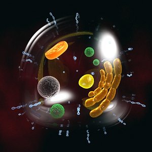 biological cell 3d model