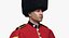 Soldado de la Guardia Real británica aparejado