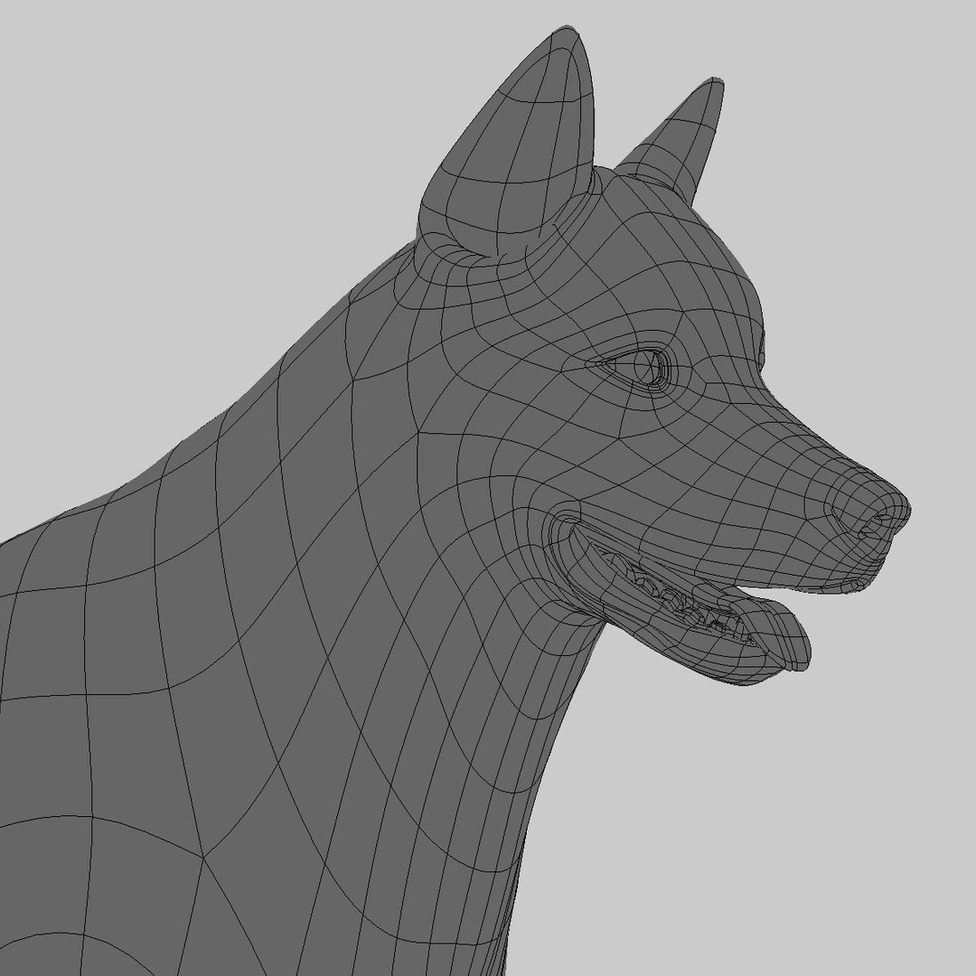 3d siberian husky https://p.turbosquid.com/ts-thumb/0k/mKfwwh/KmaJPz8X/wire/jpg/1314884731/1920x1080/fit_q87/1a6c9fac3116aa78bbe35873bfc16df9cf9a8f2f/wire.jpg