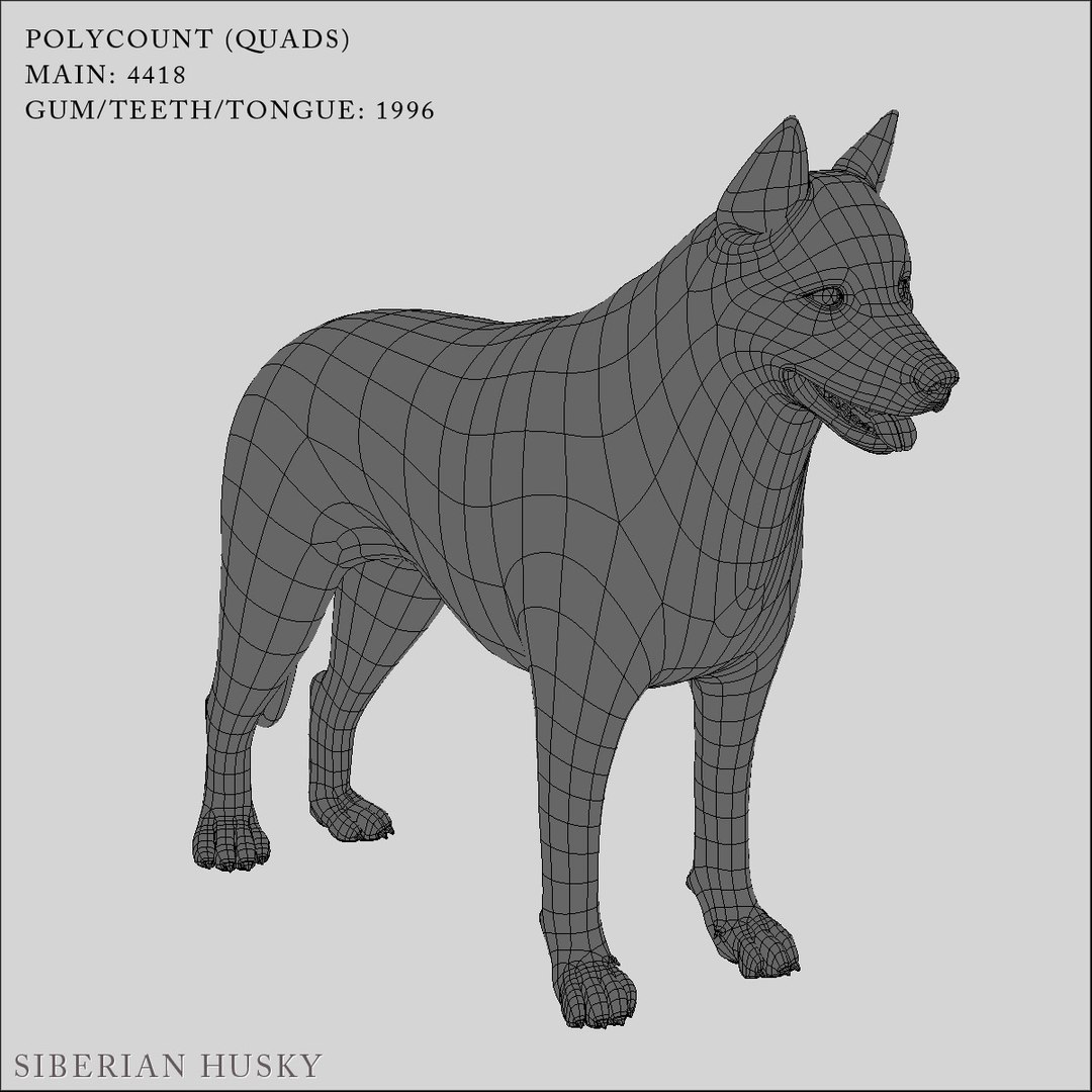 3d siberian husky https://p.turbosquid.com/ts-thumb/0k/mKfwwh/t0MNBZMN/hd_l_6/jpg/1296378792/1920x1080/fit_q87/5b42676abe24a0cd3bc028d8e04d5ae0044f5cf1/hd_l_6.jpg