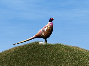 bird 3d 3ds