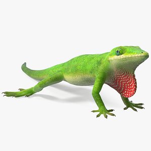 max carolina anole lizard rigged