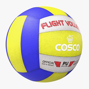 Volleyball ball Low Poly model