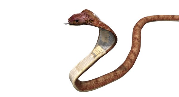 COBRA REI PAPO RÉPLICA DE SERPENTE PEÇONHENTA EM MINIATURA RÉPTIL