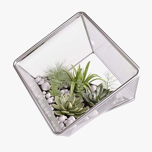 3D model Florarium cube with succulents