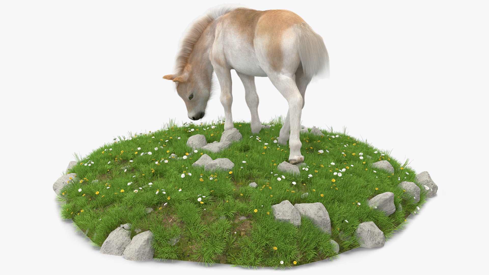 Shetland Pony Grazing in a Meadow Fur 3D model preview