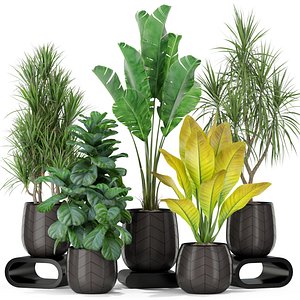 3D模型植物423