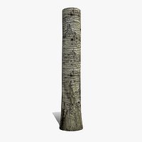 Sweet cherry bark PBR tiled textures 8K