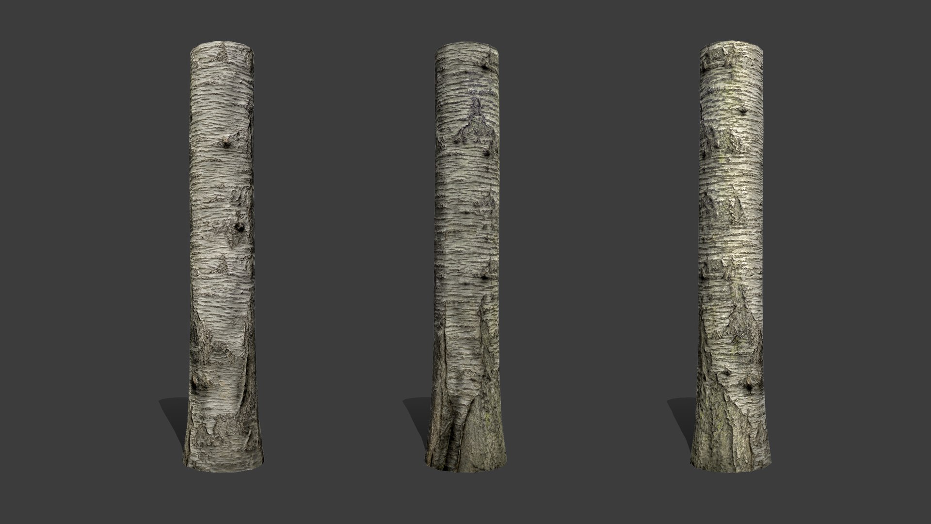 3D Sweet cherry bark PBR tiled textures 8K https://p.turbosquid.com/ts-thumb/0l/XaFegP/DT/sweet_cherry06/jpg/1759056435/1920x1080/fit_q87/5de297089a71732ec11e79d25d1d49b7e515c010/sweet_cherry06.jpg