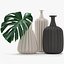 Feuilles de Monstera 010