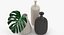 Feuilles de Monstera 010