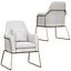 Gray Velvet Accent Chair Modern Upholstered Arm Chair with Gold Legs Pillow Included