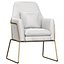 Gray Velvet Accent Chair Modern Upholstered Arm Chair with Gold Legs Pillow Included
