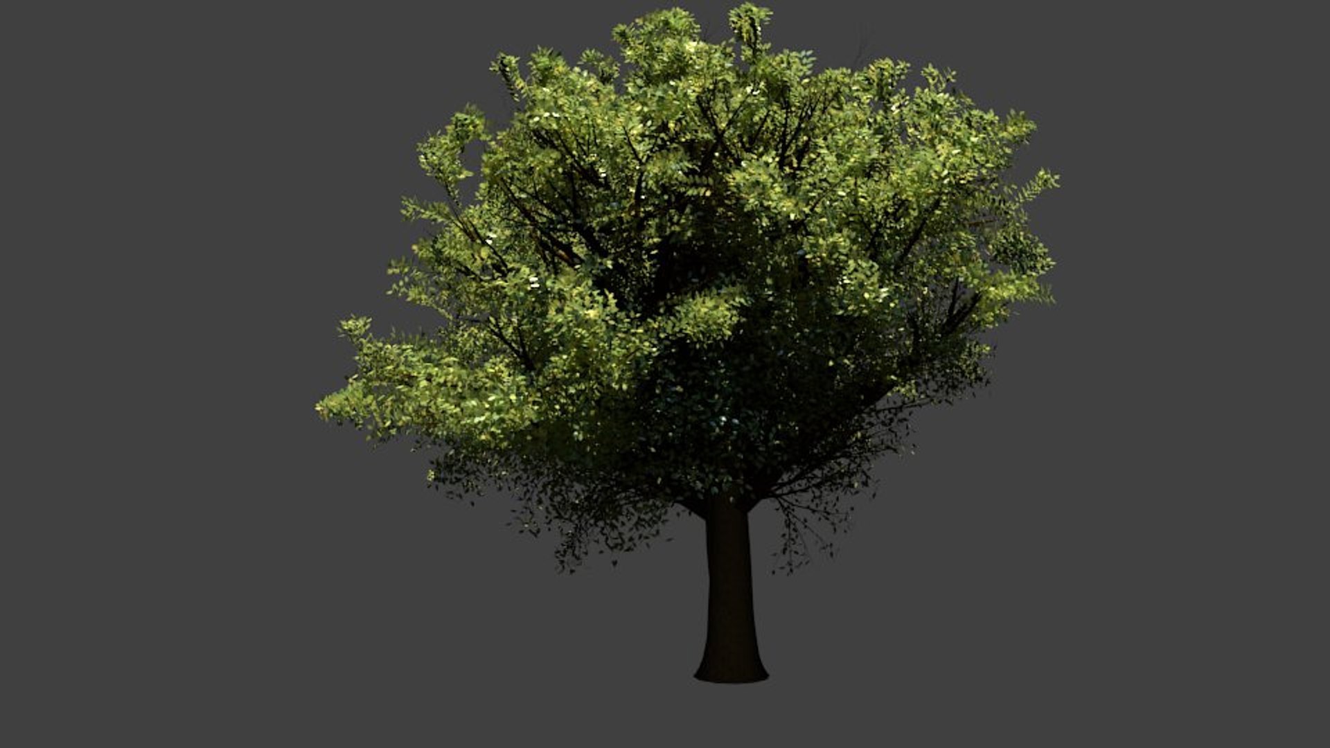 tree 3d model https://p.turbosquid.com/ts-thumb/0m/2aQrDK/62prMdC3/tree/jpg/1334264443/1920x1080/fit_q87/f61cc89b4f2690bb25601b9a466ad79cd4496a8b/tree.jpg