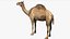 3D model Camel Rigged No fur 3D