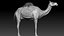 3D model Camel Rigged No fur 3D