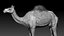 3D model Camel Rigged No fur 3D