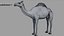 3D model Camel Rigged No fur 3D
