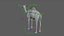 3D model Camel Rigged No fur 3D