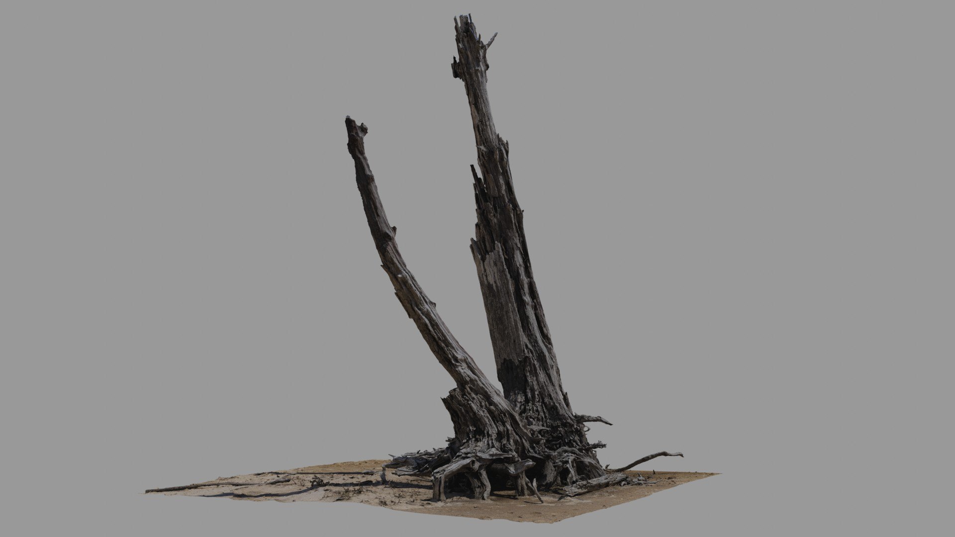 Dead Tree 020 3D Model - TurboSquid 2371320