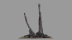 Dead Tree 020