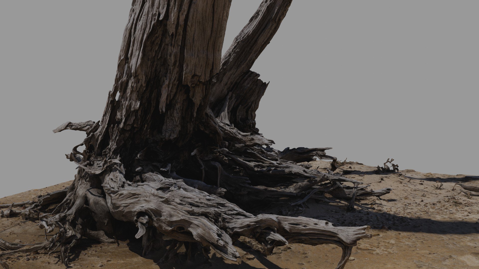 Dead Tree 020 3D Model - TurboSquid 2371320