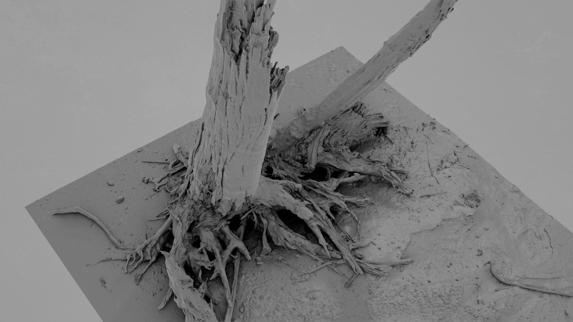 Dead Tree 020 3D Model - TurboSquid 2371320