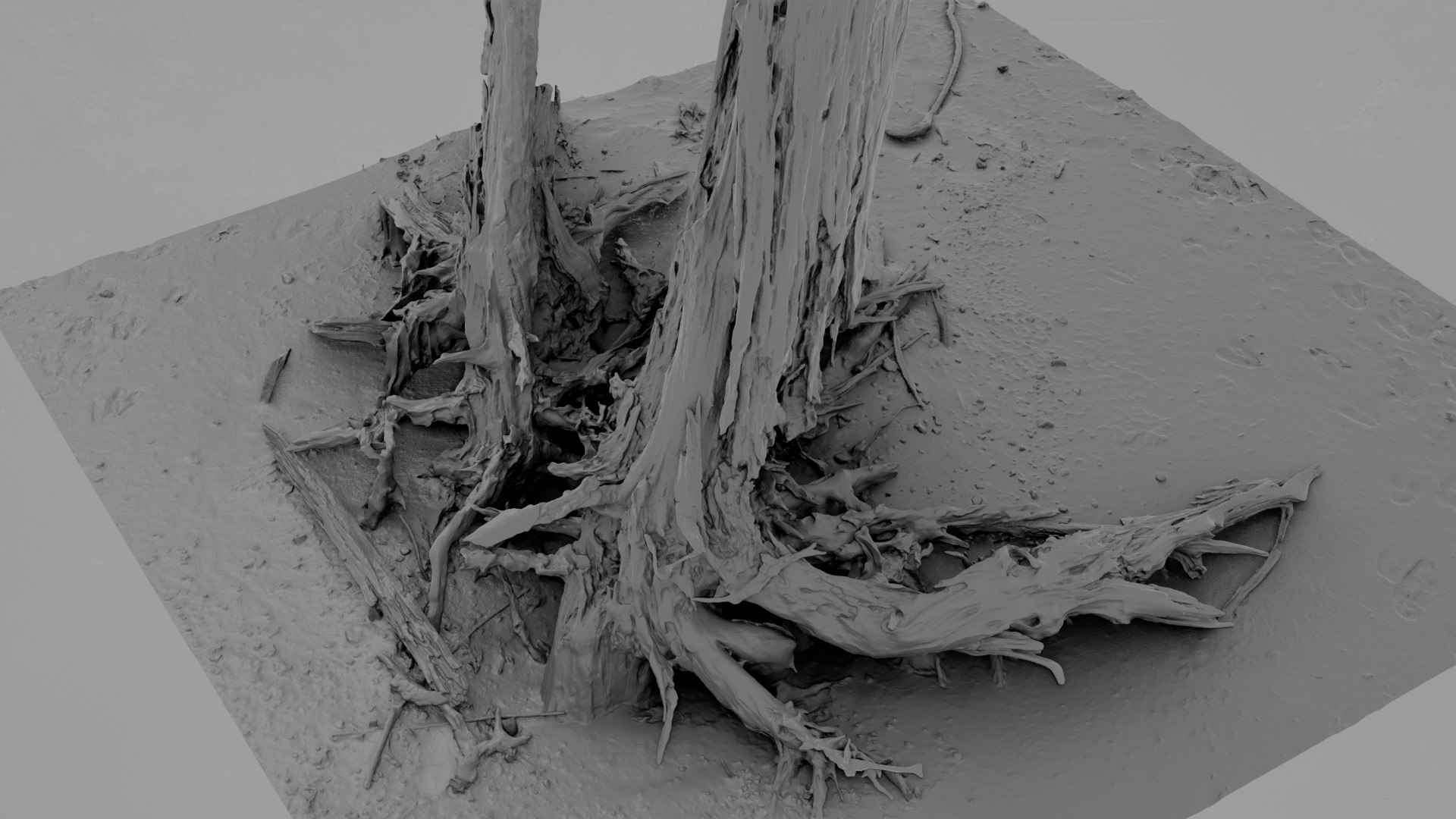Dead Tree 020 3D Model - TurboSquid 2371320