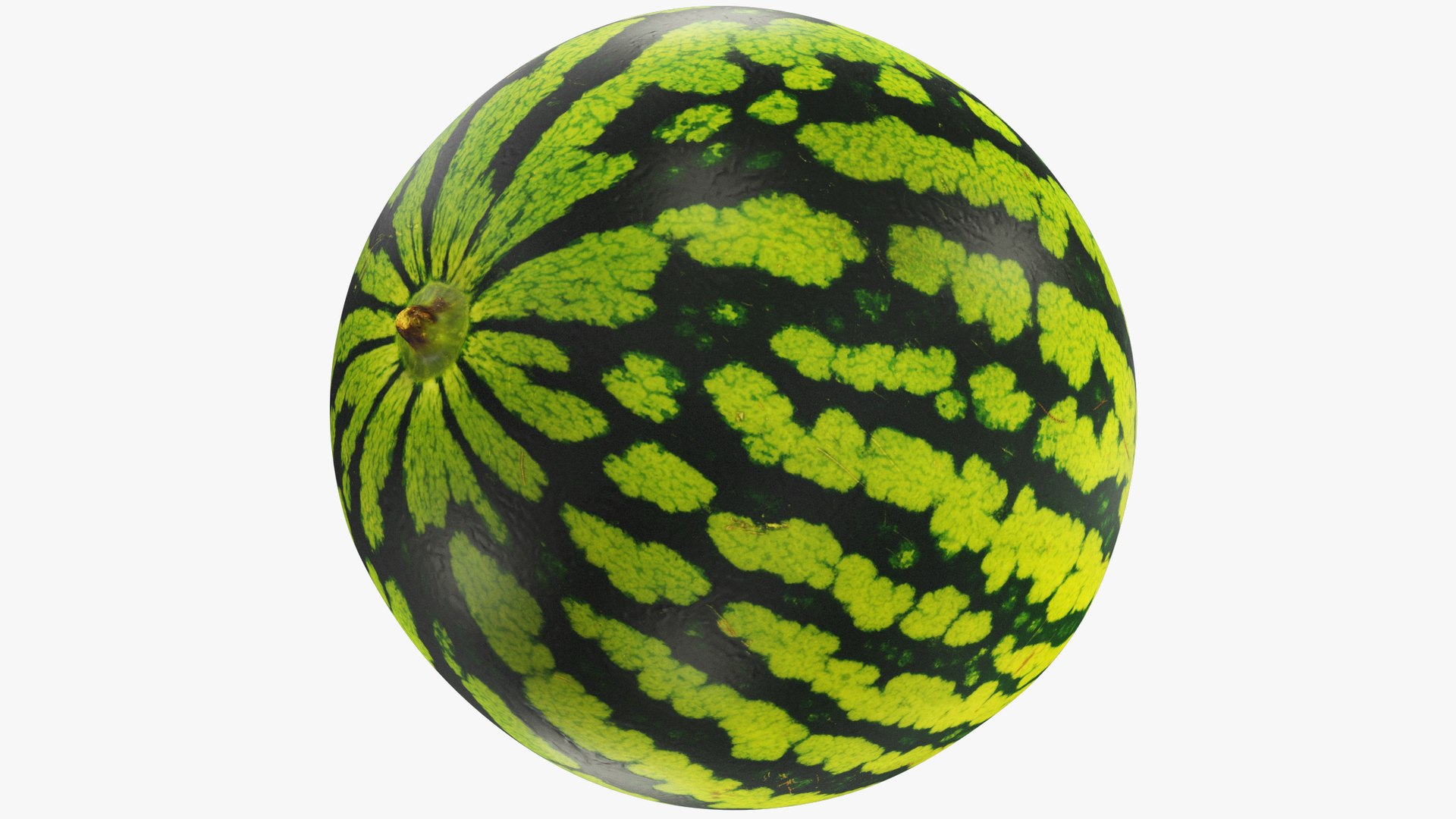 3D Melons and Watermelon Collection V1 model https://p.turbosquid.com/ts-thumb/0m/FDXQtg/8o/watermelon1_001/png/1714519288/1920x1080/fit_q87/9cea2722618af0581fbdfb72d2afb1da1198a80d/watermelon1_001.jpg