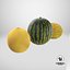 Colección Melones y Sandía V1