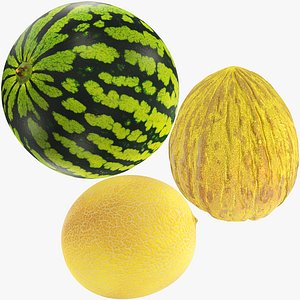Melons and Watermelon Collection V1