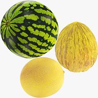 Melons and Watermelon Collection V1