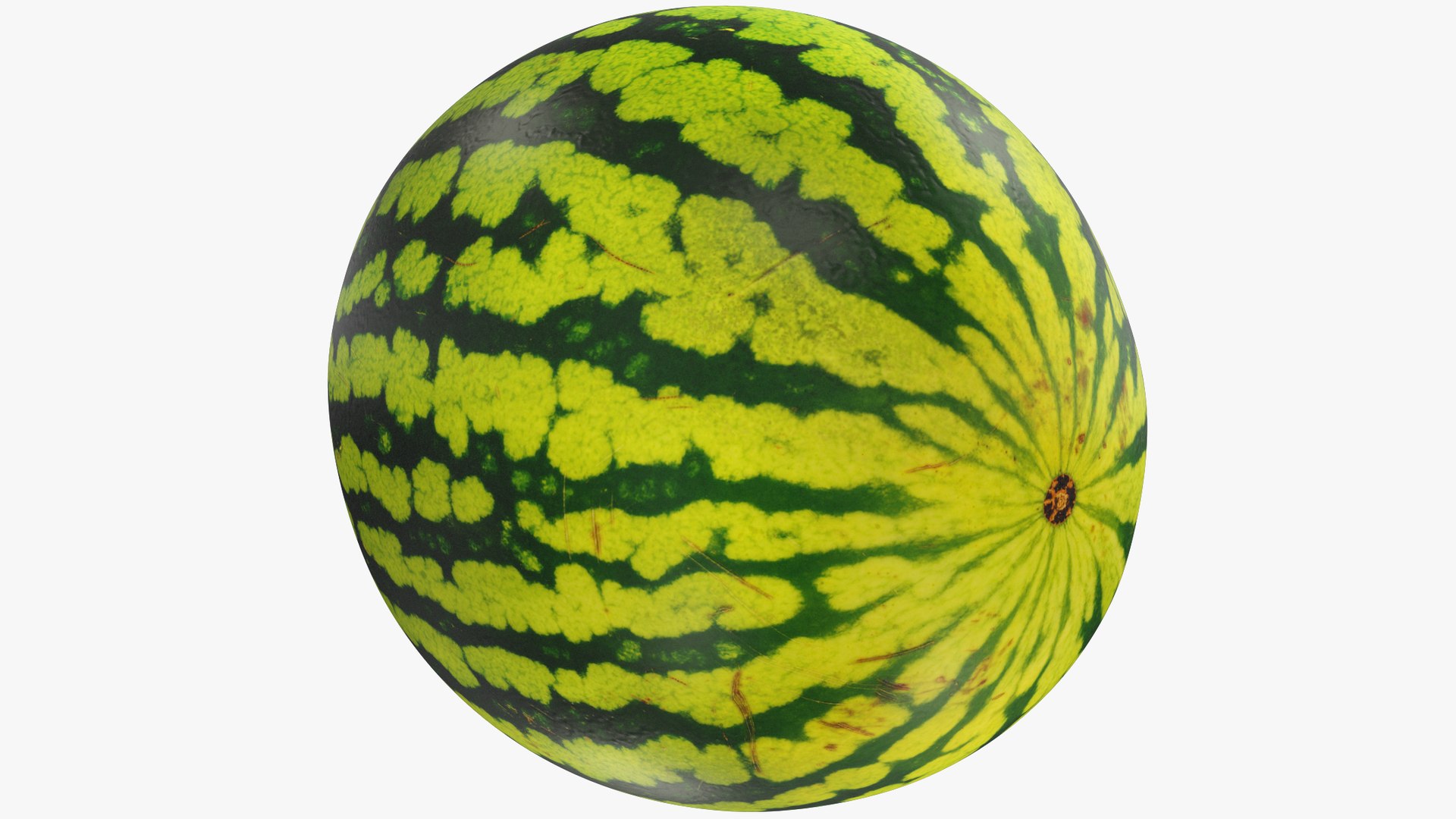 3D Melons and Watermelon Collection V1 model https://p.turbosquid.com/ts-thumb/0m/FDXQtg/wM/watermelon1_004_004/png/1714519294/1920x1080/fit_q87/e0f50eb6981c9e22603009d36deaf6758e19e8d8/watermelon1_004_004.jpg